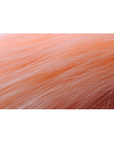 SADDLE SALMON